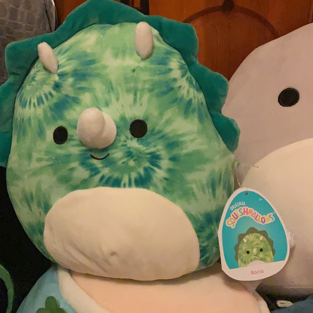 Rocio Squishmallow 💕
